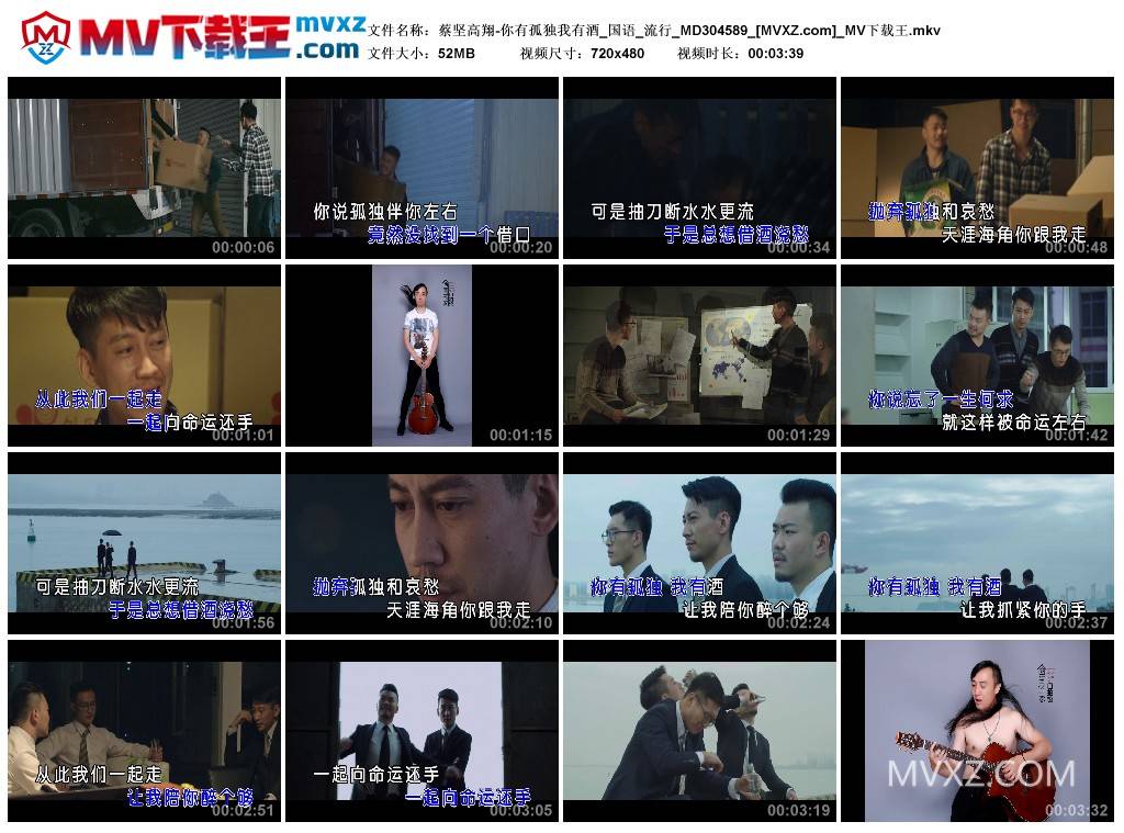 蔡坚高翔-你有孤独我有酒_国语_流行_MD304589